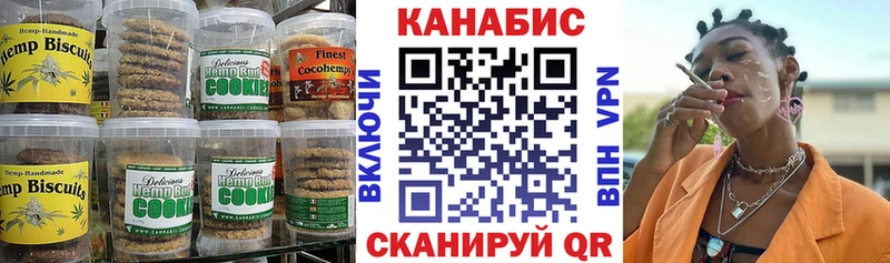 маркетплейс наркотические препараты  Заводоуковск  Canna-Cookies марихуана 
