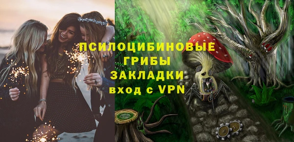 МДПВ Заводоуковск