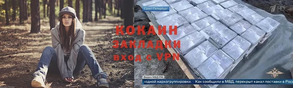 МДПВ Заводоуковск