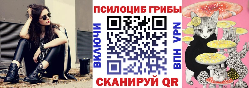 Псилоцибиновые грибы Magic Shrooms  это какой сайт  Заводоуковск 