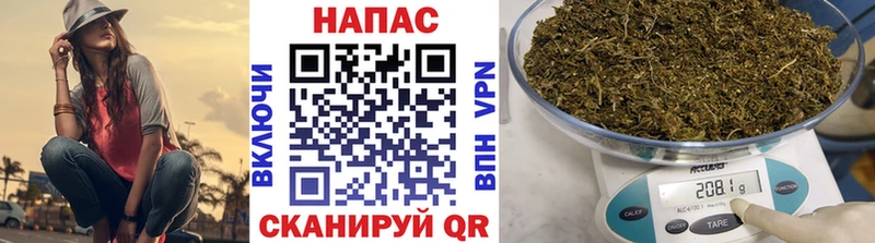наркота  Заводоуковск  Бошки Шишки THC 21% 